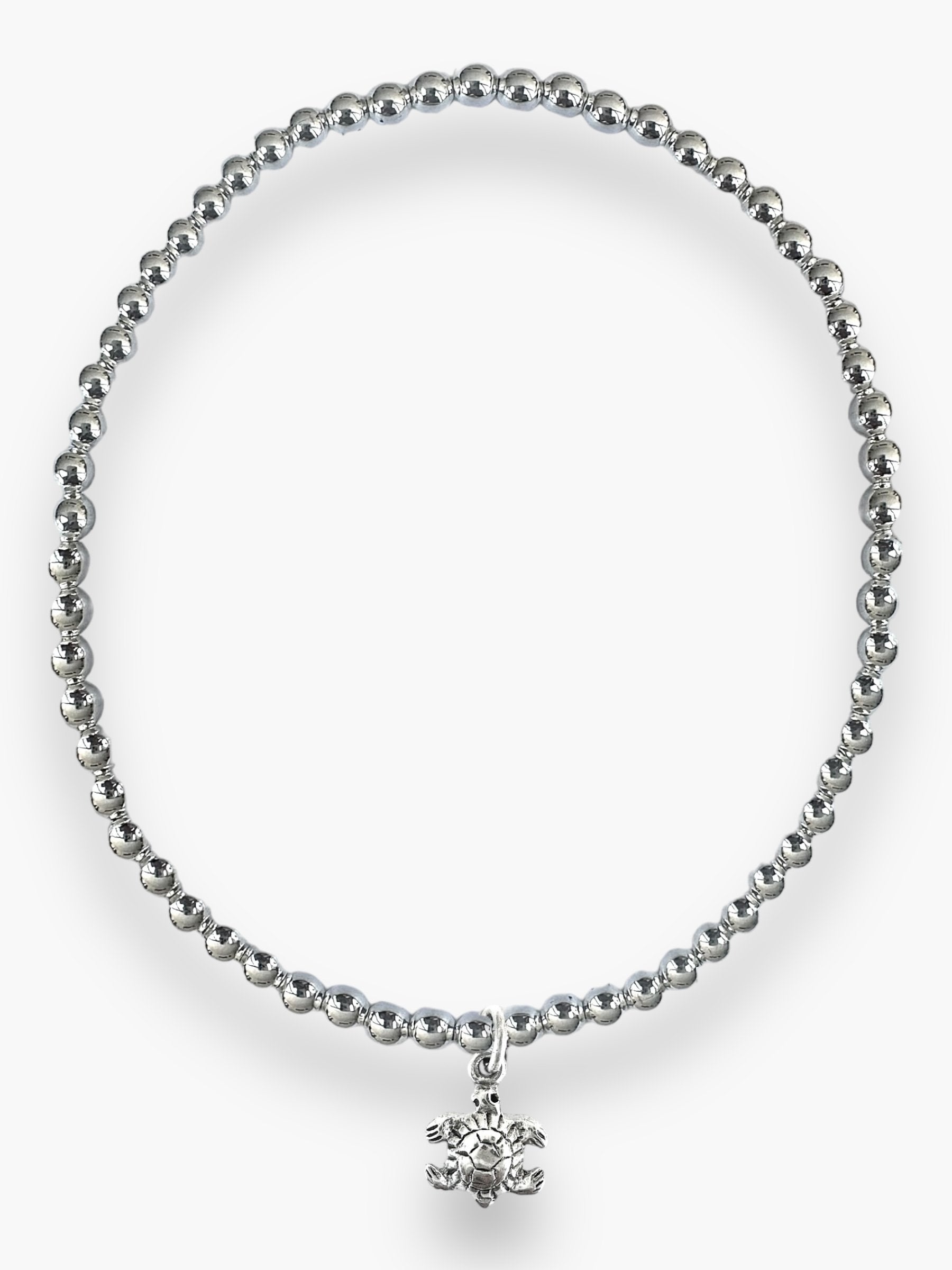 Silver- New Turtle Blt